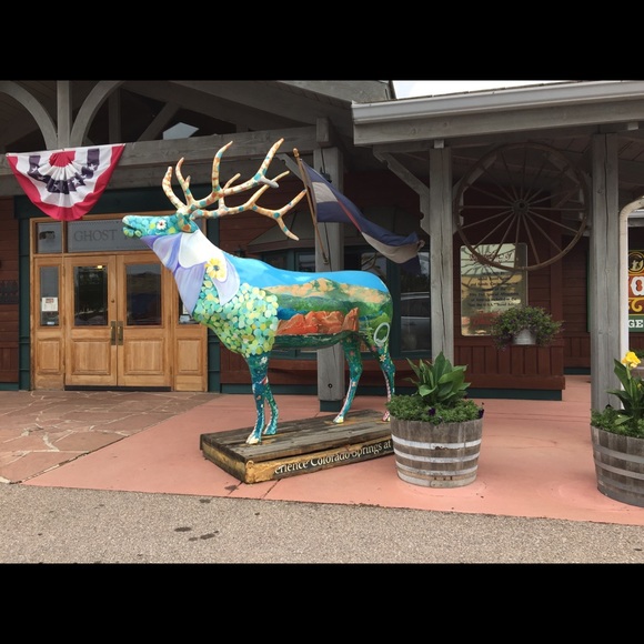 Meet your Posher, Suzanne - Picture 1 of 1